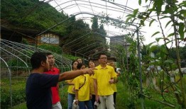 瓜瓜基地,绿色生态农业的璀璨明珠