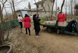 六安第一网红大黑哥,从田间地头到网络红人的逆袭之路